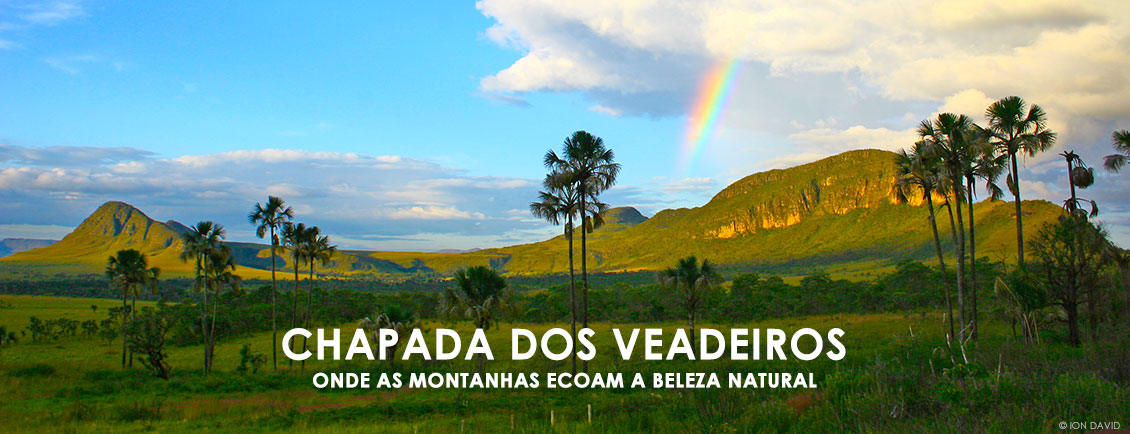 Pacotes de Viagem para Saídas em Grupo