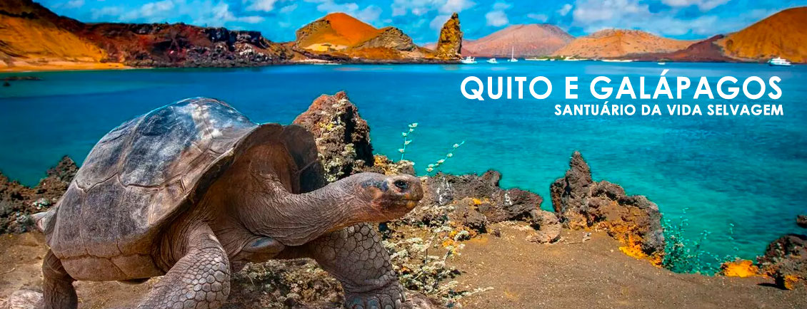 Pacotes de Viagem para Saída Privativa