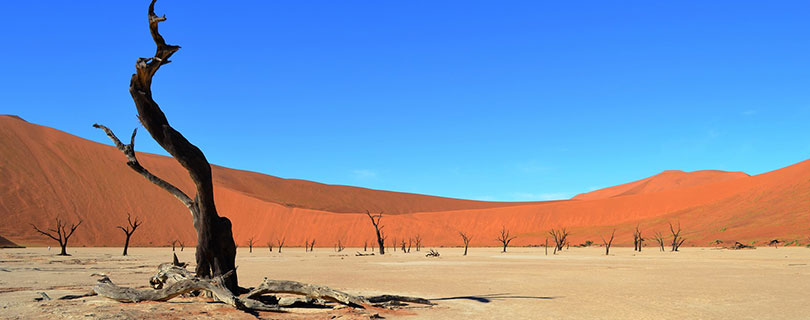 Pacote-de-Viagem-para-África-Namíbia-01.jpg Pacote-de-Viagem-para-África-Namíbia-01.jpg